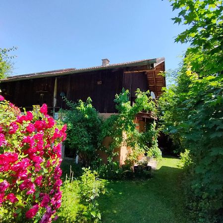 Gemuetliche Ferienwohnung Mit Kamin Und Garten Garmisch-Partenkirchen Luaran gambar